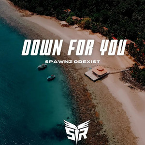 Spawnz Odexist - Down For You
