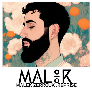 Malek Zerrouk - ACU ID SEBBA HAKIM TIDAF