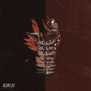 Medicate by Heartlay