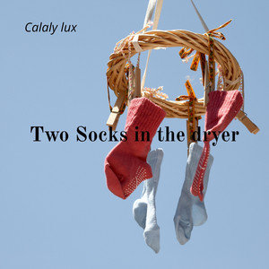 Two Socks in the Dryer by Calaly lux