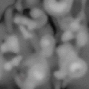 Rotle