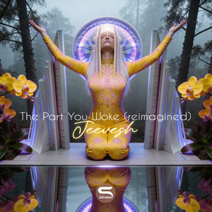 The Part You Woke - Reimagined by Jeevesh