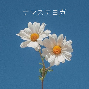 ナマステヨガ