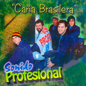 Sonido Profesional - Corazón Ladrón
