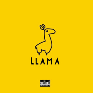 Llama by June Goon