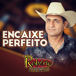 Portada de Encaixe Perfeito