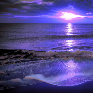 Can’t Hide the Tide by Ockaso Silva
