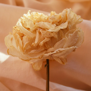 The Art of Making Flowers by Lowfy Lowky