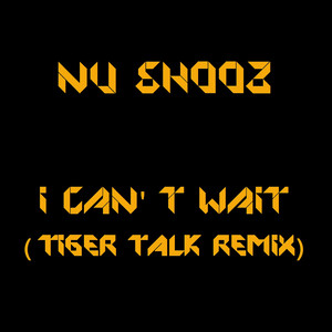 I Can't Wait (Tiger Talk Remix) by Nu Shooz