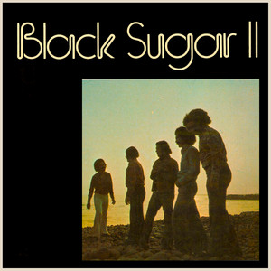 Don't You Worry About A Thing by Black Sugar