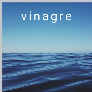 vinagre by adriana gildelreal