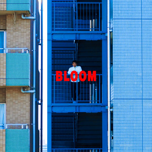 BLOOM by WATER DAWGS