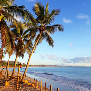 Orlandinho - Verão em Maceió