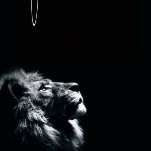 fui by Dj Lion cm