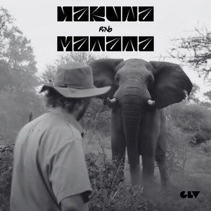 Hakuna Matata by Rino