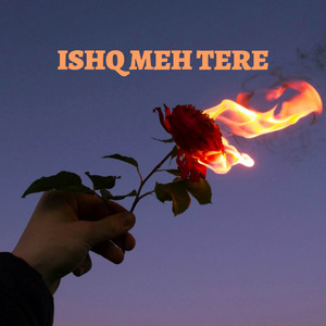 Ishq Meh Tere - ( Reverb )