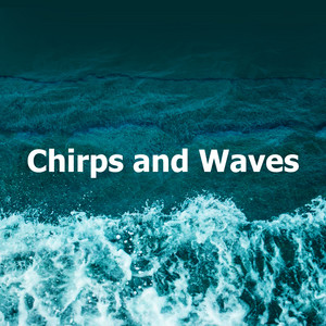 Chirps and Waves album