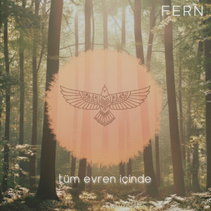 tüm evren içinde