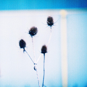 album cover: Tone Isolation