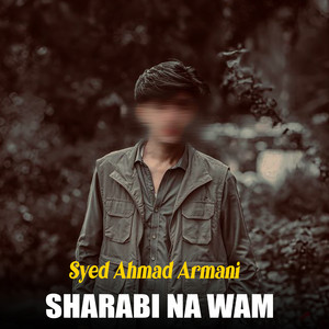 Syed Ahmad Armani - Zama Da Armano