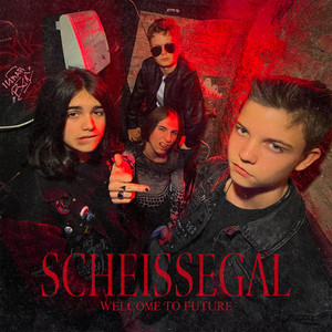 Scheissegal!