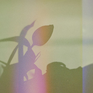 fading lights by nest., shadow.