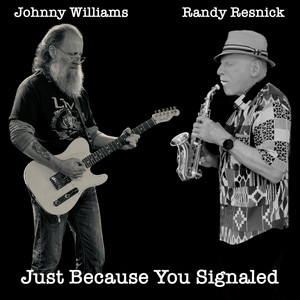 Just Because You Signaled - Guitar mix by Randy Resnick, The Johnny Williams Band
