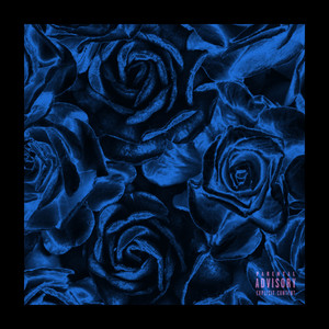 Portada de absolutely.
