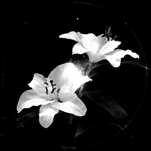 The Winner Takes It All x The Night We Met by Milan Rossi
