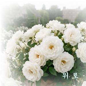 위로(Comfort) by KJ.D