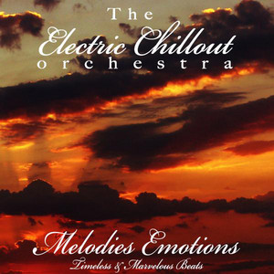 The Electric Chillout Orchestra poster