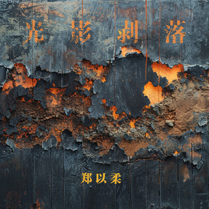 光影剥落 - 沉浸版 by 郑以柔