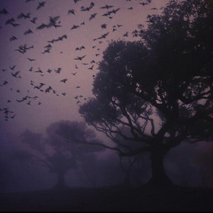 Dreamin by Résonne