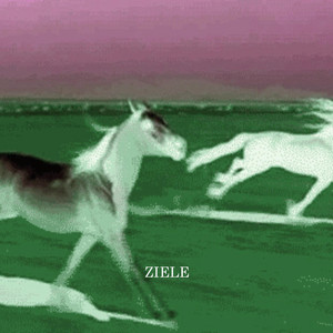 Portada de ziele