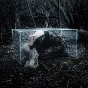 Hide n Seek