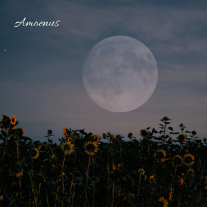 Amoenus by Ex Nocte