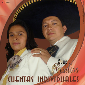 José Cedillos - Cuentas Individuales