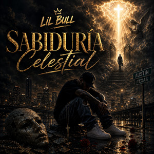 Insensatos Sin Razones by Lil Bull