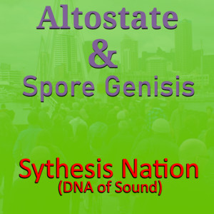 Synthesis Nation (DNA of Sound)