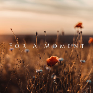 For a Moment by Buddha Code, Alexander Spitzner
