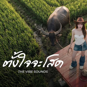 ตั้งใจจะโสด - RachYO Version: Modern Neo-Soul, Jazz Fusion by thankyou4