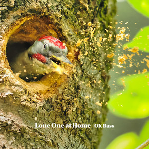 Lone One at Home by OK bass