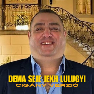 Pesti Andris - Dema Seje Jekh Lulugyi (Cigány Verzió)