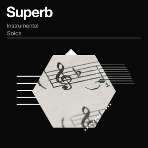 zZz Superb Instrumental Solos zZz album