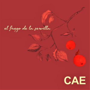 Cae