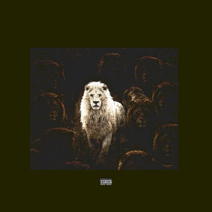 My Nigga by IROKO LION