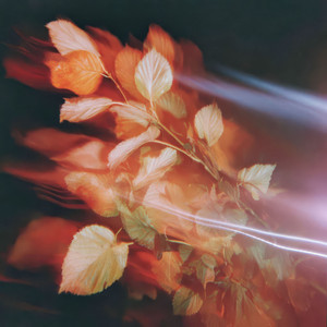 Love Beyond Time by Timio Vertucci