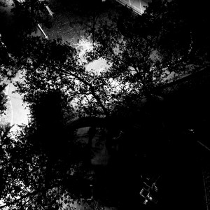 misery. by Prospectfully