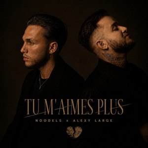 Tu m'aimes plus by Noodels, Alexy Large