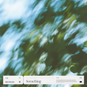 Something by Weltmusik